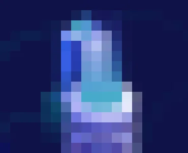 海星体育